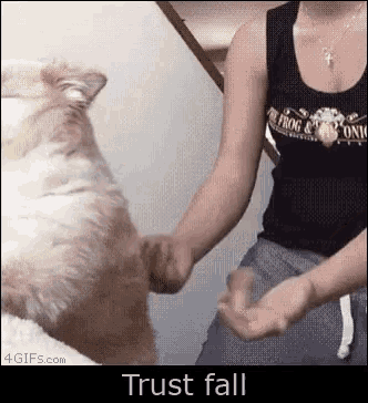 Dog Trust Fall GIF - Dog Trust Fall Puppy GIFs