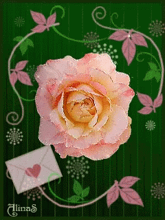 Rose Gift GIF - Rose Gift Card GIFs
