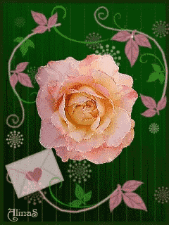 a pink rose and a white envelope with a heart on it