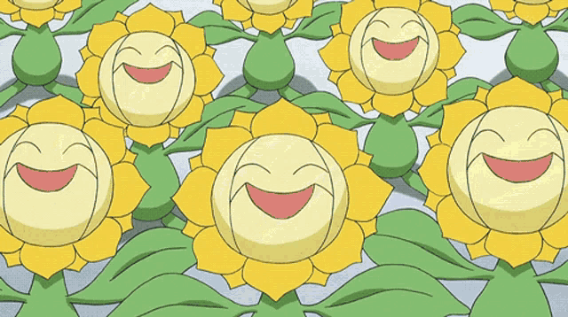 a bunch of yellow flowers with green leaves laughing