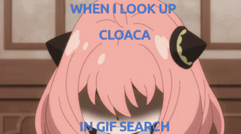 Cloaca Look Up GIF - Cloaca Look Up Gif Search GIFs