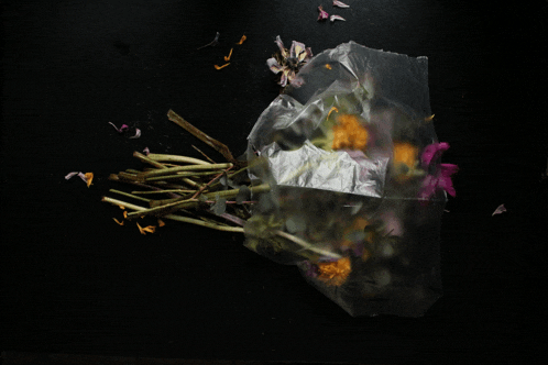 a bunch of flowers in a plastic bag on a black background