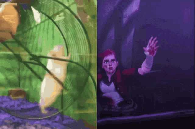 a hamster wheel and a woman with blood on her face