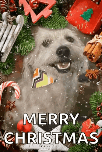 a dog is sitting in front of a christmas tree surrounded by christmas decorations and says merry christmas .