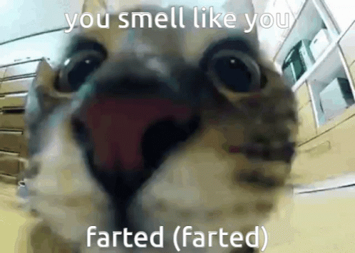 You Smell Like You Farted Farded GIF - You Smell Like You Farted Farded Farted GIFs