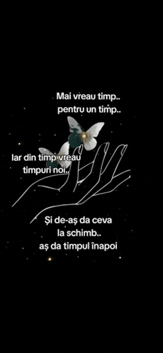 a hand holding a butterfly with a quote in a foreign language .