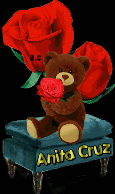 a teddy bear is sitting on a blue pillow with the name anita cruz