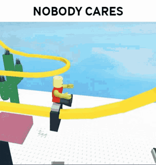 a picture of a roller coaster with the words nobody cares