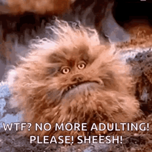 Fizzgig The Dark Crystal GIF - Fizzgig The Dark Crystal Pay Attention To Me GIFs