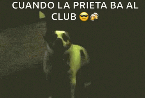 Rave Party GIF - Rave Party Club GIFs