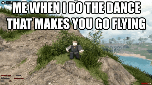 a screenshot of a video game that says ' me when i do the dance that makes you go flying '