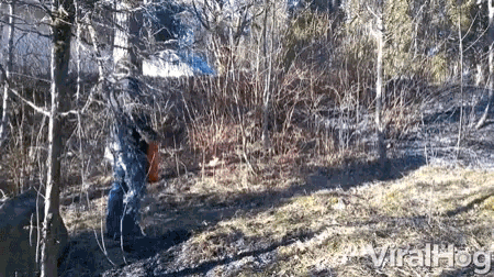 Burn It Down Forest Fire GIF - Burn It Down Forest Fire Hot GIFs