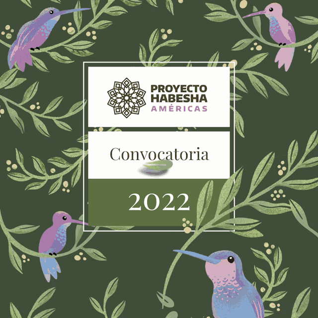 a poster for proyecto habesha americas with hummingbirds on a green background