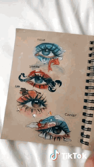 a drawing of a woman 's eyes with the zodiac signs on them