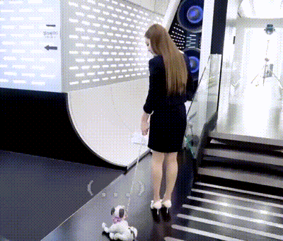 a woman in a black dress is walking a stuffed dog