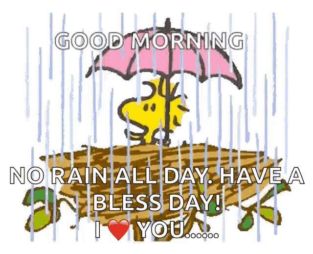 a cartoon of snoopy holding an umbrella in the rain with the words good morning no rain all day have a bless day