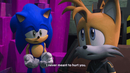 sonic the hedgehog and tails from sonic the hedgehog are talking and tails says i never meant to hurt you