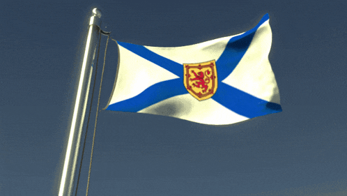 the flag of newfoundland and labrador is waving in the wind against a blue sky