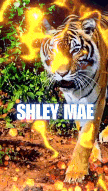 a tiger with the name shley mae on it
