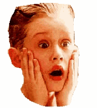 Home Alone Shocked GIF