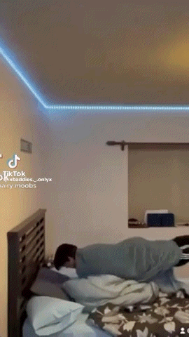 Bed Spin GIF - Bed Spin Lay Down On Stomach GIFs