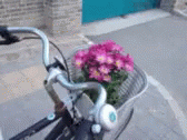 Flowers Bouquet GIF - Flowers Bouquet Bike GIFs