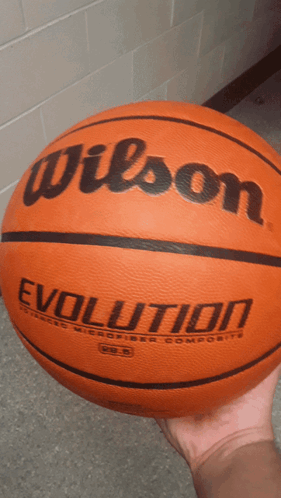 Wilson Sporting Goods Basketball GIF - Wilson Sporting Goods Basketball Wilson GIFs
