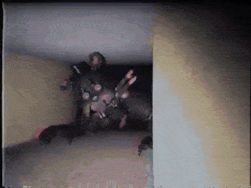 a person is standing in a dark room with a monster coming out of the corner .