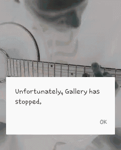 a message that says unfortunately gallery has stopped on a phone