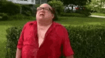 a man in a red shirt is standing in front of a hedge in a yard .