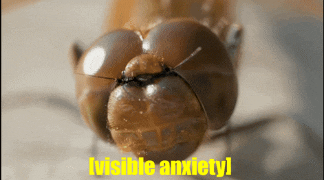 a close up of a bug with the words visible anxiety in yellow
