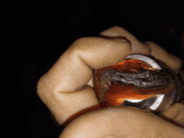 a close up of a person 's hand holding a can