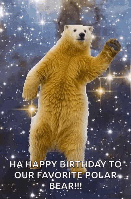 a polar bear standing on its hind legs with the words " ha happy birthday to our favorite polar bear "