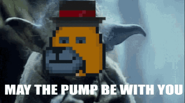 a pixelated image of a monkey with the words may the pump be with you below it