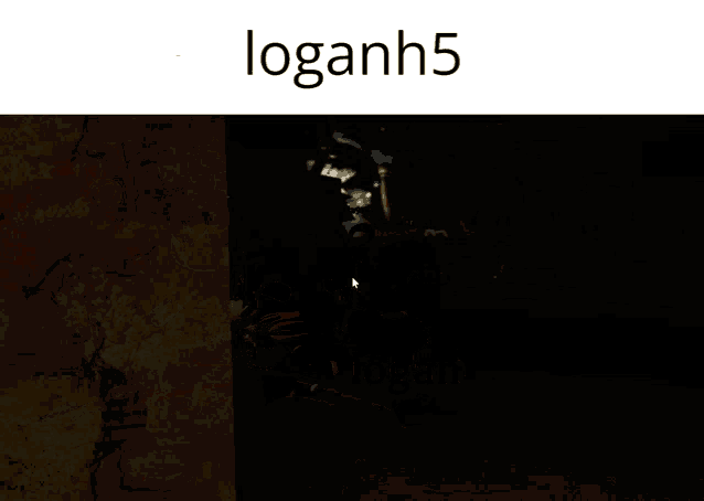 a screenshot of a video game with the name loganh5 on it