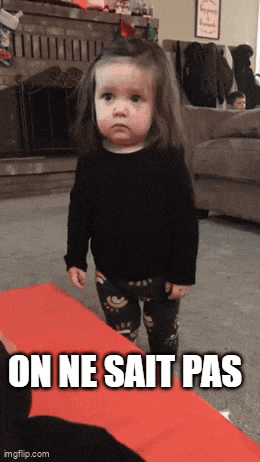 a little girl standing in front of a fireplace with a caption that says " on ne sait pas "