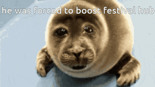 a seal with the words he was forced to boost festival hub on the bottom