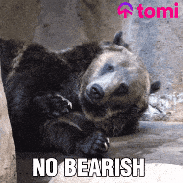 a picture of a bear with the words no bearish on the bottom
