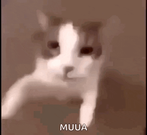 a close up of a cat 's face with the words muua written on it .