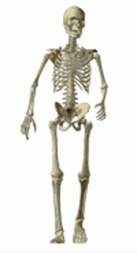 Walking Skeleton GIF - Walking Skeleton Slow Walk GIFs