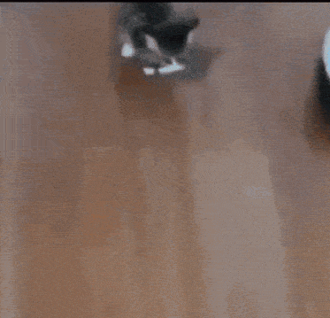 a white robotic vacuum cleaner is cleaning a wooden floor .