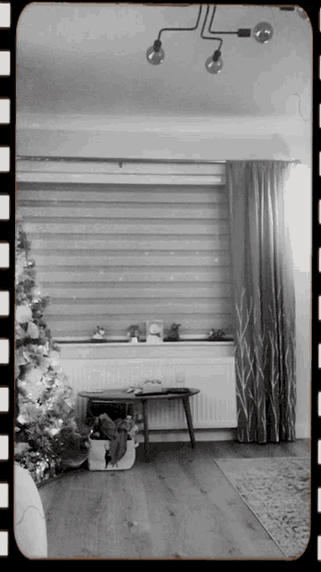 a black and white photo of a living room with a christmas tree and a radiator