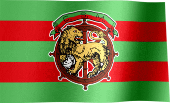 a green and red striped flag with a lion and the letter c.