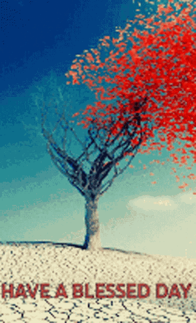Good Morning GIF