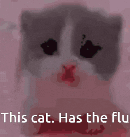 a picture of a cat with the words " this cat has the flu " on it