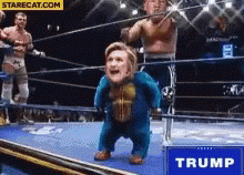 Donald Trump Hillaryclinton GIF - Donald Trump Hillaryclinton Election GIFs