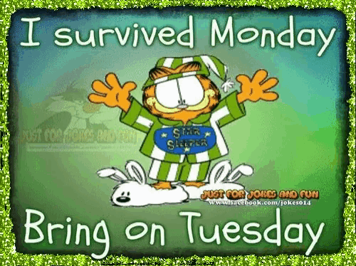 a cartoon of garfield says i survived monday and bring on tuesday