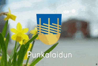 a yellow flower in front of a blue and yellow coat of arms that says punkalaidu