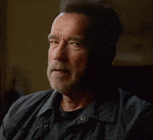 Arnold Schwarzenegger Do It GIF - Arnold Schwarzenegger Arnold Do It GIFs