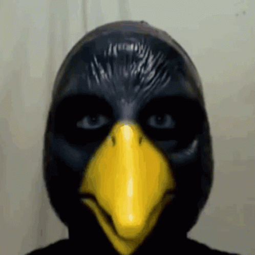 Dicuad Crow GIF - Dicuad Crow GIFs
